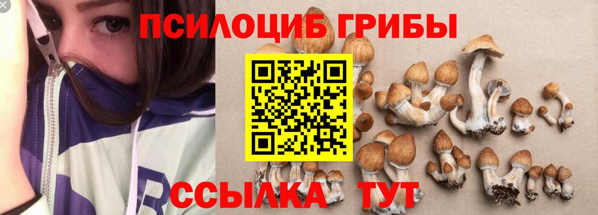 Псилоцибиновые грибы мухоморы  Вход с VPN  Строитель  Псилоцибиновые грибы Magic Shrooms 